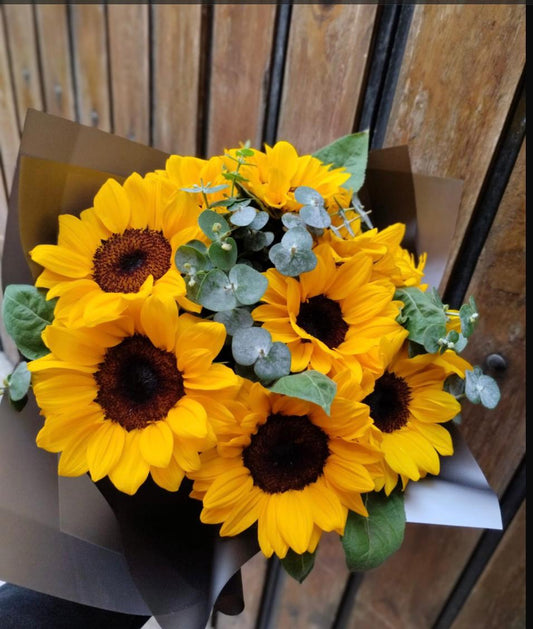 10 Girasoles