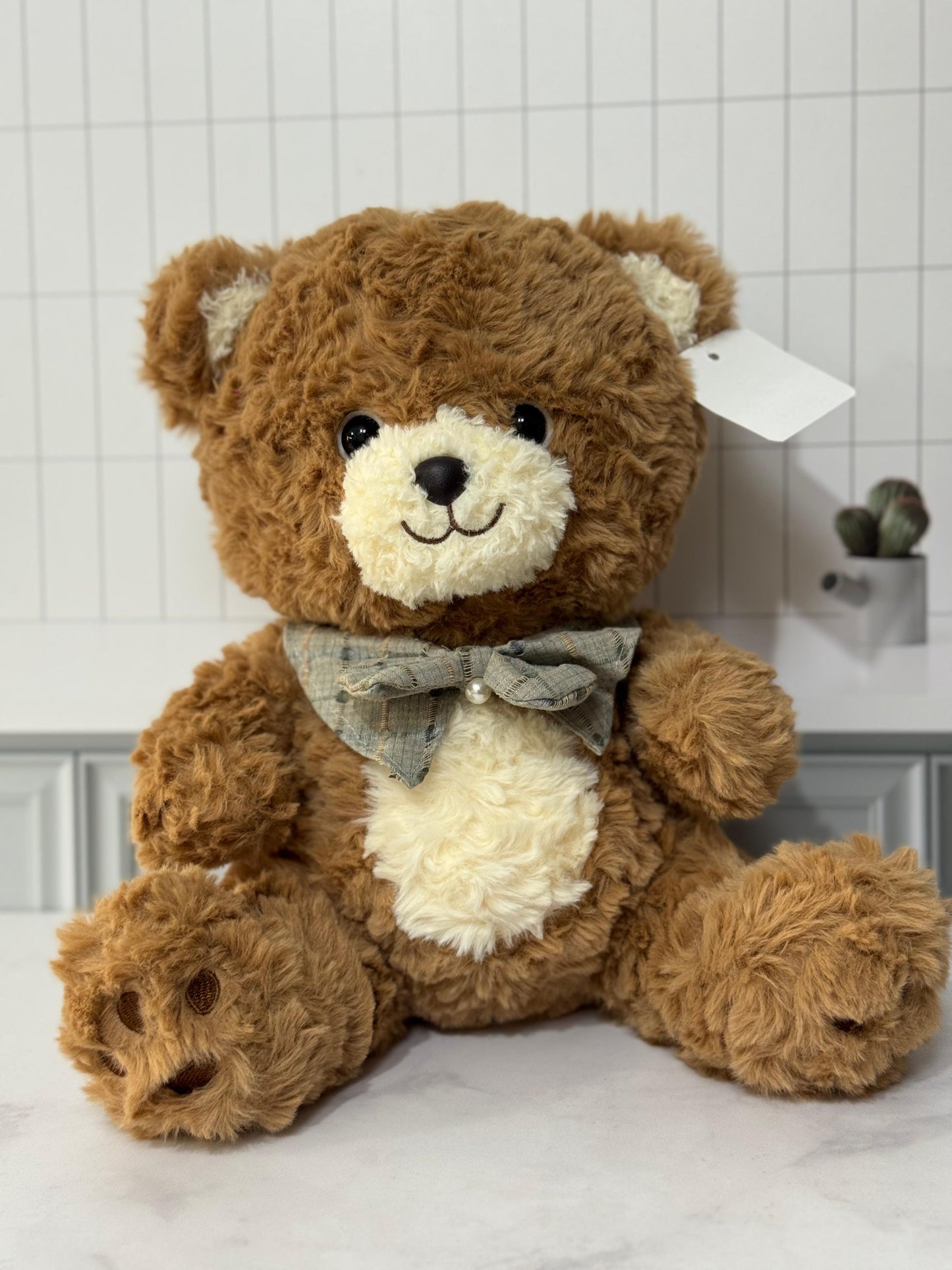 Oso de Peluche cariñoso