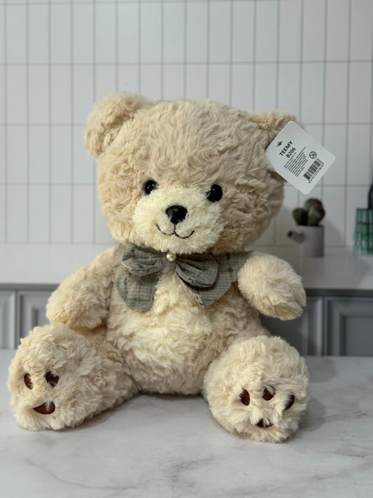 Oso de Peluche cariñoso