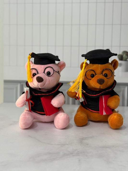 Oso de Peluche intelectual